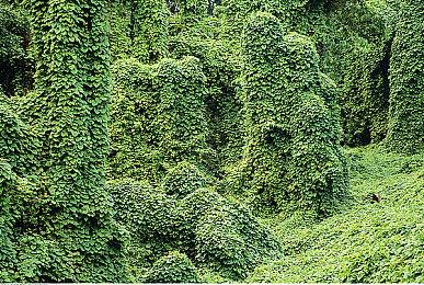 Steam 1月新游榜：《真三国无双：起源》霸气登顶 《漫威蜘蛛侠2》第三