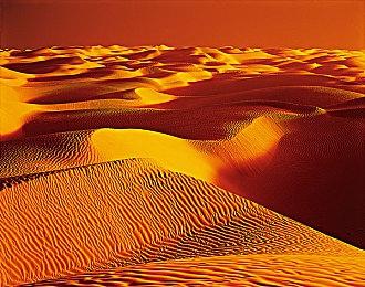 独占期结束《虫子快餐店》确定2022年登陆Steam