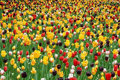 10余款皮肤齐上架！《王者荣耀》充值系统深夜被挤崩溃